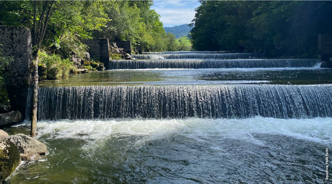 Schwelle in einem Fluss, die zur freien Fischwanderung entfernt werden sollte, denn Fische müssen wandern