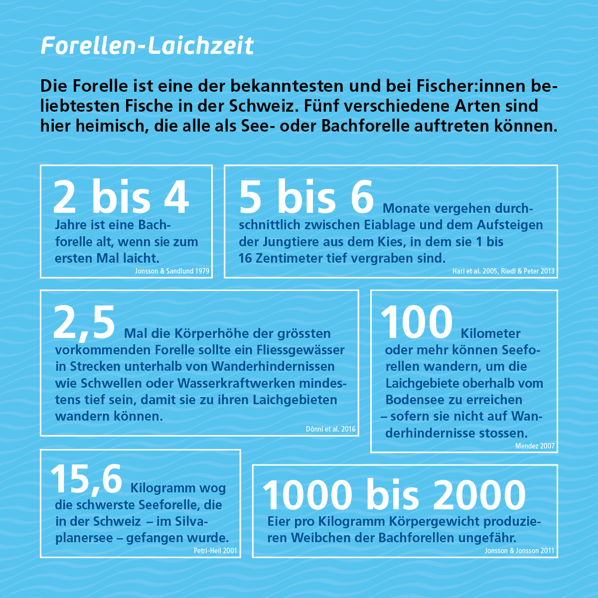 Graphik Dynamische Gletschervorfeler, Artenzahl in Abhängigkeit von Jahre Eisfreiheit